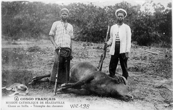 Deux chasseurs posent l'air satisfait, fusil au pied, devant un buffle abattu. Carte postale ancienne en noir et blanc.