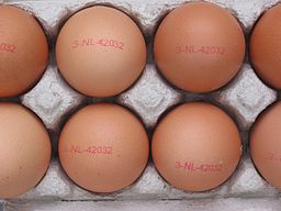 Oeufs de poule dans une boîte en carton