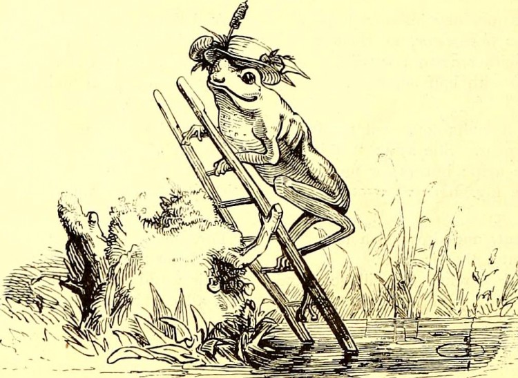 Gravure représentant une grenouille coiffée d'un chapeau qui monte sur une échelle.