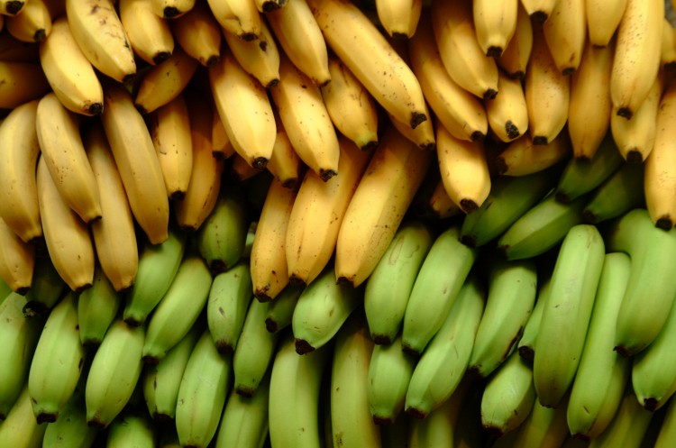 Bananes vertes et jaunes.