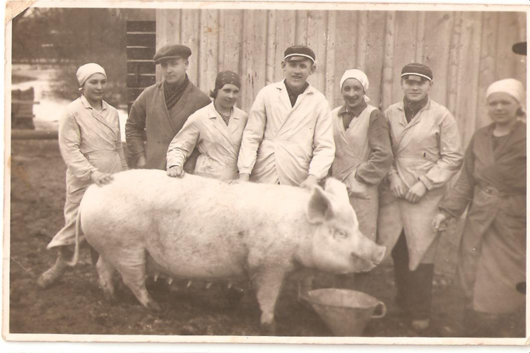 Cochon