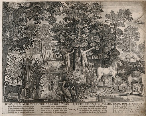 Gravure représentant Adam et Ève au jardin d'Eden, entourés d'animaux, dont le serpent qui, enroulé autour d'un arbre, est sur le point de convaincre Ève de manger du fruit de l'arbre poussant au centre du jardin, dont Dieu a dit à Adam et Ève de ne pas goûter.